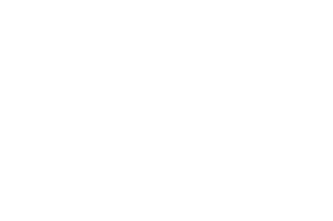 AWFF 2024 Official Selection
